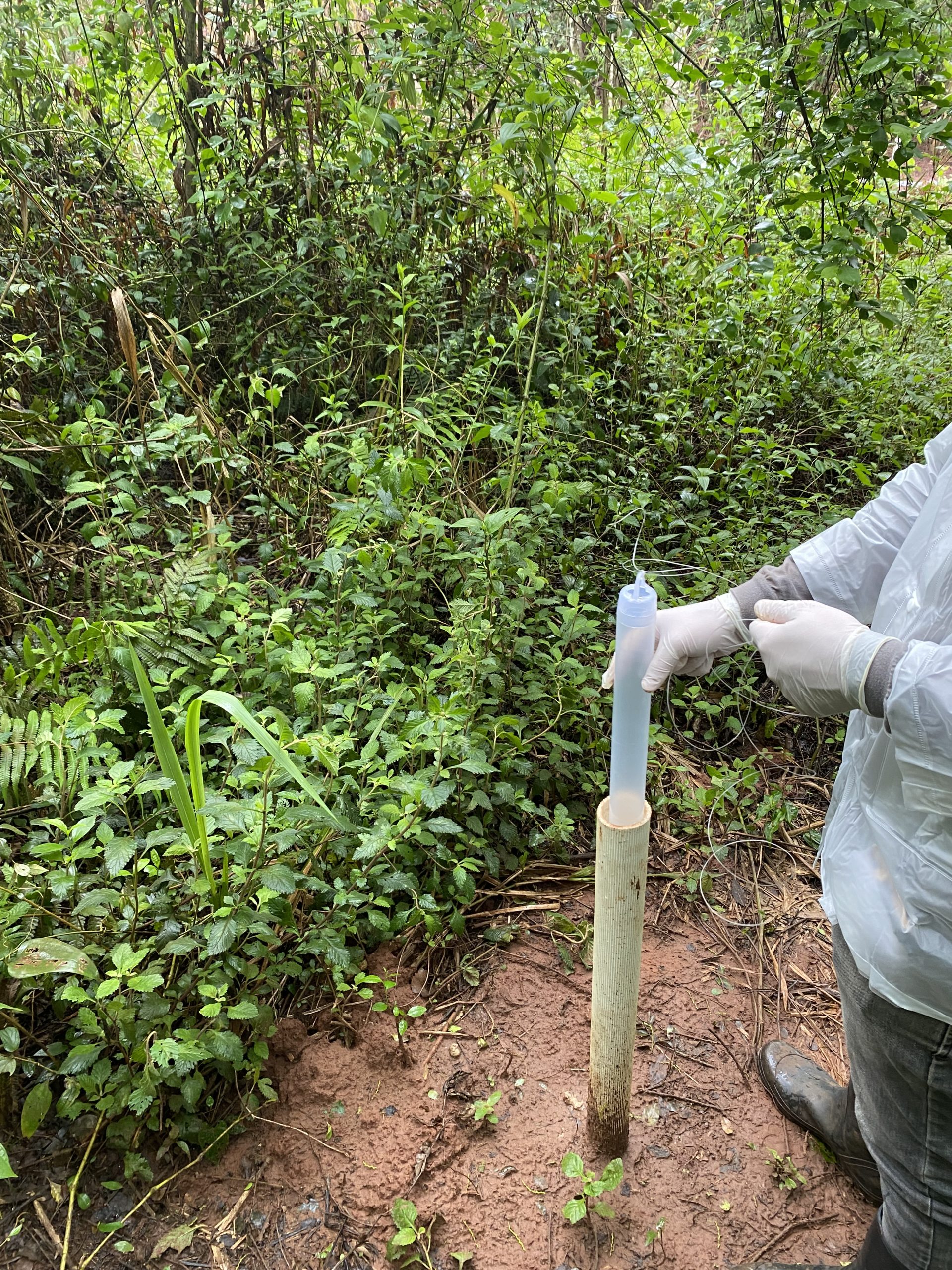 Monitoramento das águas subterrâneas